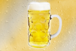 맥주 호프 AT9370199 원하시는 사이즈 주문 제작 (Bj그림벽지)
